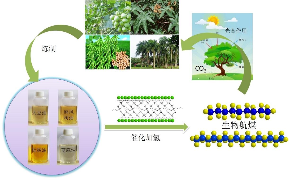 植物油催化加氢制备生物航煤产业化项目